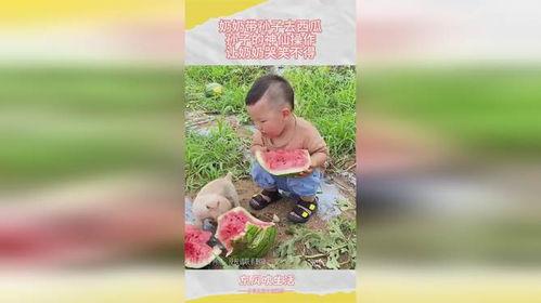 奶奶带孙子吃瓜,温馨时光定格美好瞬间