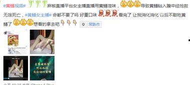 网红巨额收入叫什么,揭秘网红巨额收入背后的秘密