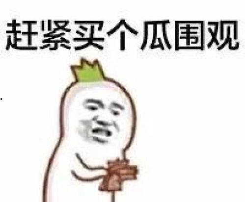 吃瓜群众的方法,轻松解读热点事件背后的真相