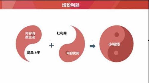 什么叫微头条和文章区别,内容呈现形式的差异解析