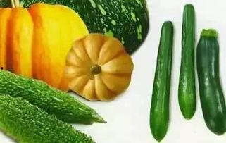 杨双吃瓜,揭秘娱乐圈幕后真相