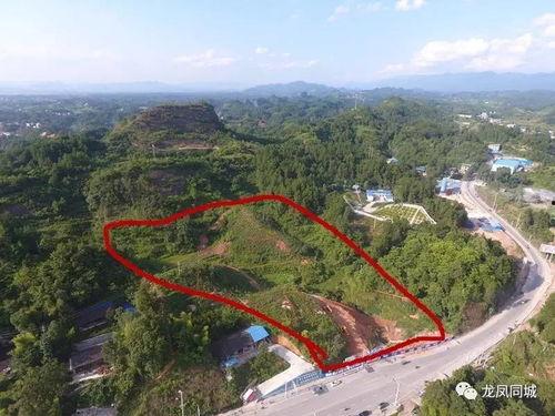 微头条龙山八景