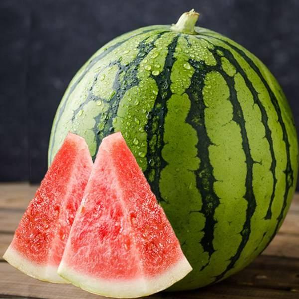 蓝牙吃瓜吴川完整,揭秘吴川的蓝牙美食之旅