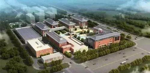 广西理工新校区吃瓜,吃瓜群众眼中的校园美食风云录”