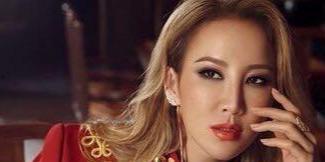 中国外籍明星评价,多元文化交融下的魅力展现