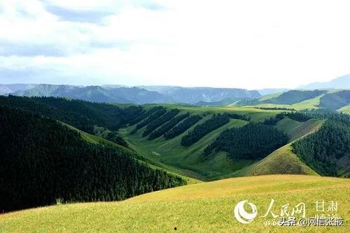 爆料祁连山的新闻媒体,媒体曝光惊人真相