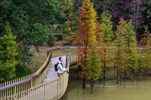 网红磨盘山,探寻自然奇观与人文魅力的秘境之旅