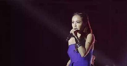 湖南邵阳洞口明星