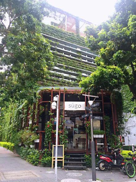 深圳哪个区网红打卡好玩,探寻罗湖区的魅力角落