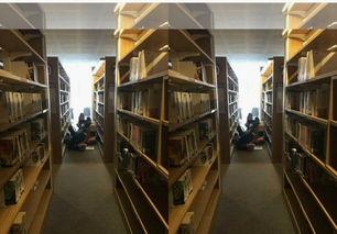 太原图书馆爆料案件最新,揭秘背后惊人真相