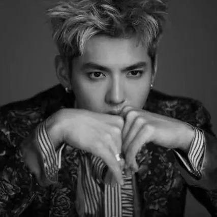 应该追什么明星呢,揭秘最适合你追逐的明星类型