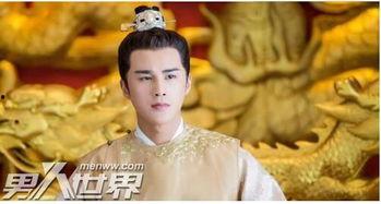 张子荣明星,星光璀璨的影视新星，演绎人生百态