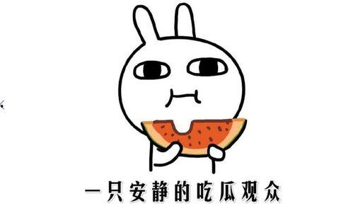 被吃瓜啥意思,网络时代的舆论狂欢与隐私边界