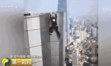 无盘网红撒网,揭秘网络红人的崛起之路