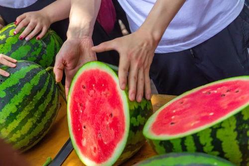 杭州大学吃瓜事件,校园舆论风波背后的真相探究