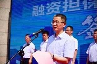 今日头条高陵区区长,聚焦发展新篇章