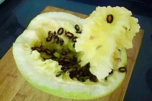 籽瓜要怎么吃,解锁美味新体验
