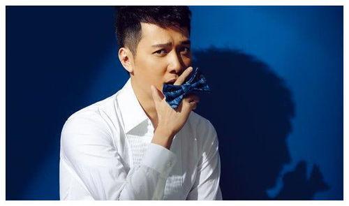 男明星家产,揭秘男明星家族背后的故事